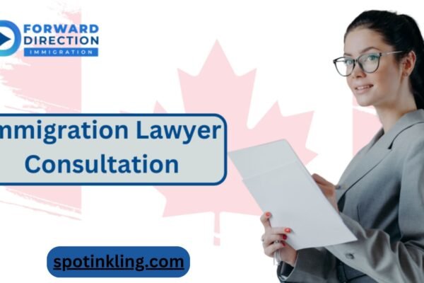 Immigration law: Navigating complexities with an experienced attorney